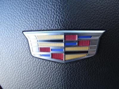 Used 2016 Cadillac Escalade 4WD 4dr Luxury Collection in Las Vegas, NV 10
