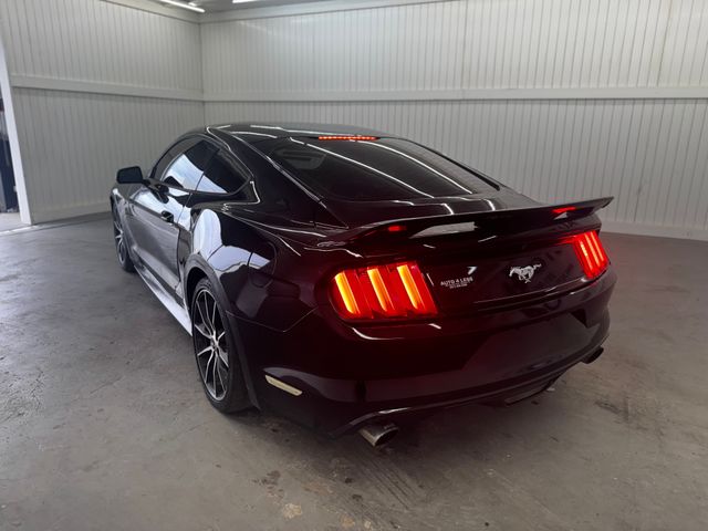 2017 Ford Mustang EcoBoost photo 7