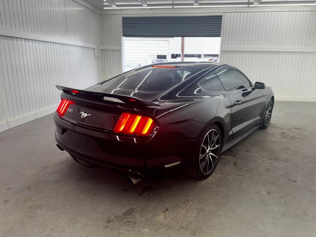 2017 Ford Mustang EcoBoost photo 5