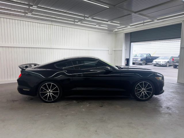 2017 Ford Mustang EcoBoost photo 4