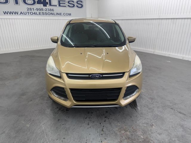 2014 Ford Escape SE Sport photo 2