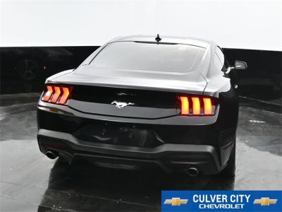 Used 2024 Ford Mustang EcoBoost in Culver City, CA 7 img