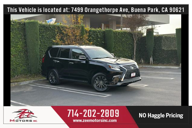 2020 Lexus GX LUXURY's photo